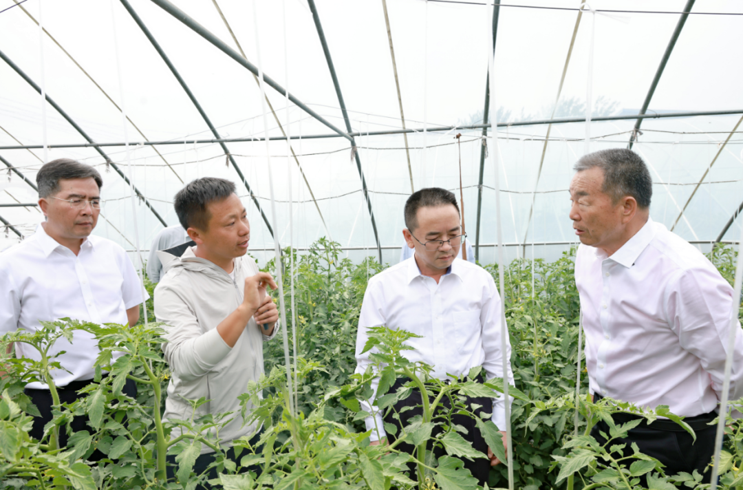 茅台释放厂商关系新信号：我们需要什么样的合作伙伴