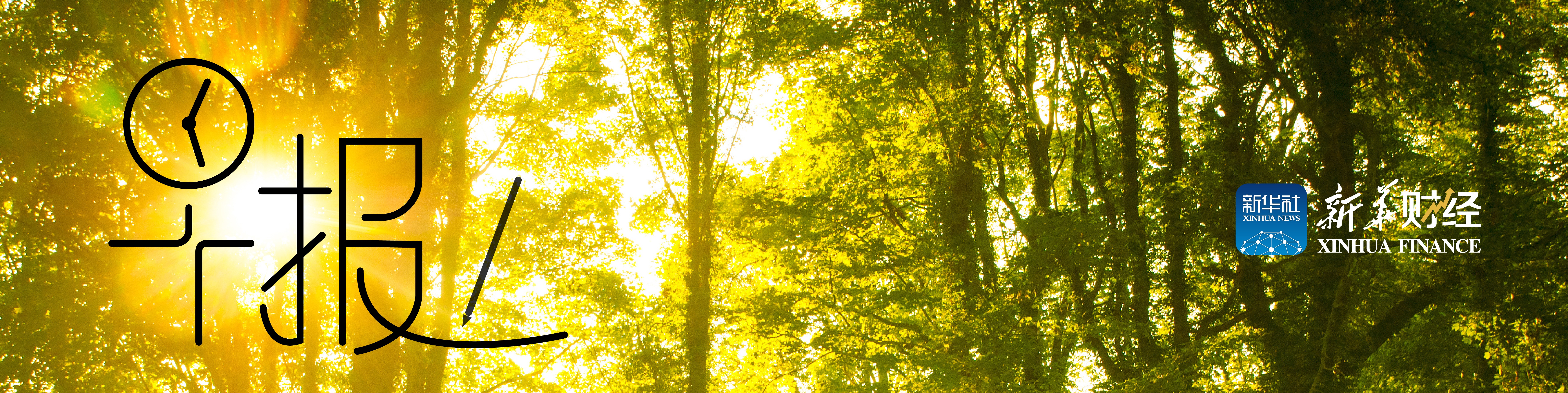 d94116b309c845388bacbc56d6799233.jpeg