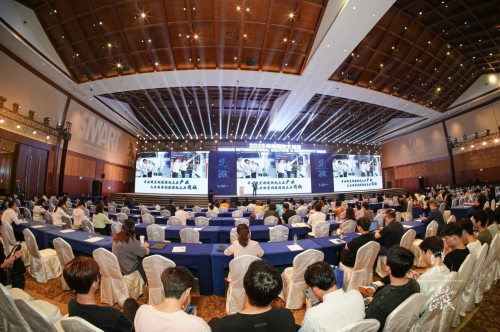 “共振·见微”2025海南国际文创周盛大启幕