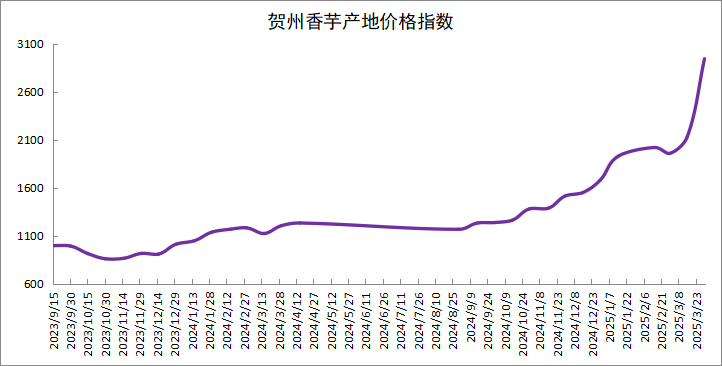 新华指数|供需重构与品牌效应共振，2024产季贺州香芋价格指数创历史新高