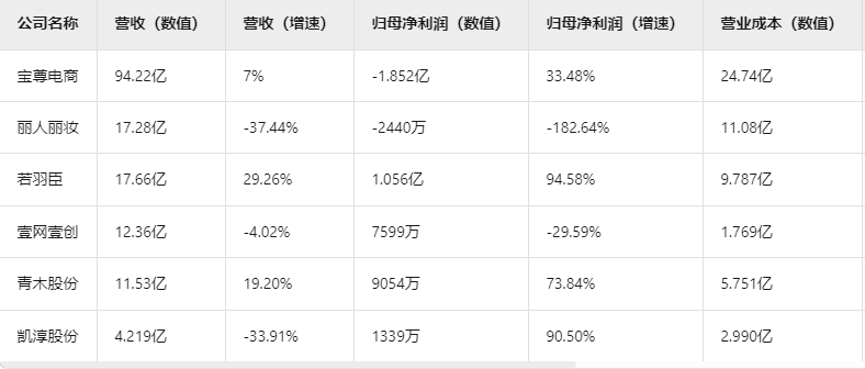 营利表现分化明显 电商代运营上市公司2024年报出炉