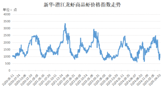 新华指数|假期消费拉动显著小龙虾价格反弹 节后迎供应高峰价格或进一步下探