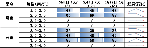 48a91c0bc921417ab566f127fa5873a1.png
