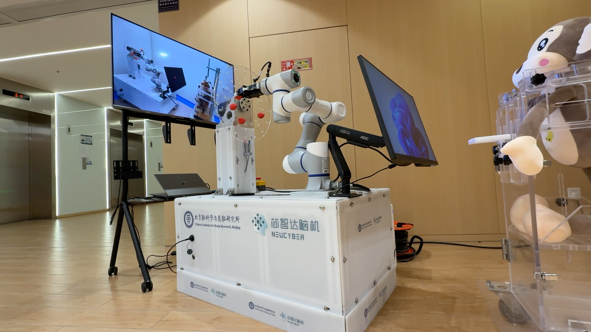 对标Neuralink，这款侵入式脑机接口明年有望临床 | 活力中国调研行
