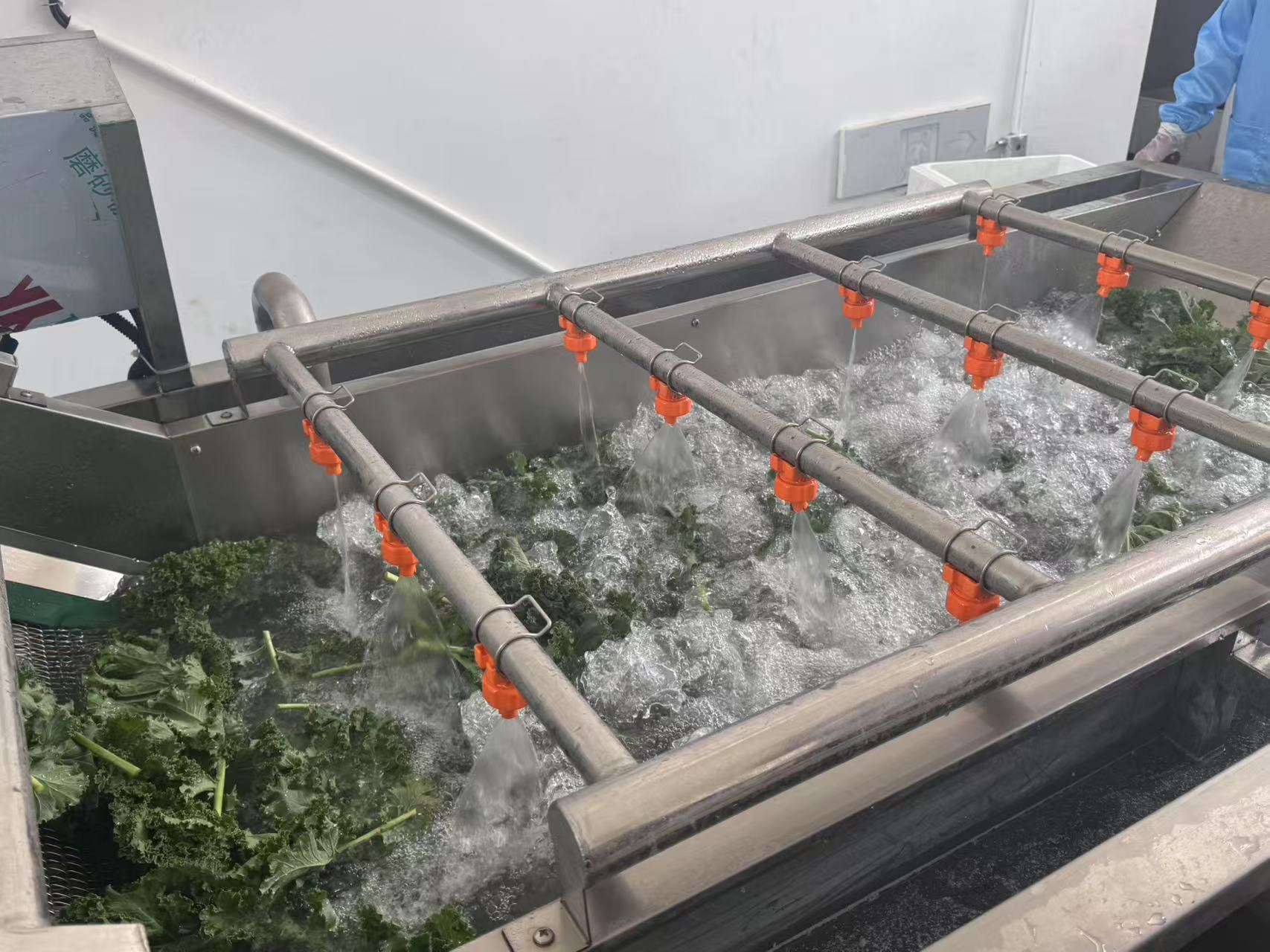 价格暴涨的羽衣甘蓝背后: 新茶饮企业为何转向定制化种植