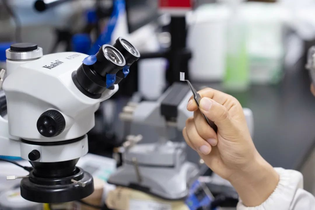微创植入，重获可见光并拓展红外视觉！复旦医工交叉成果登Science