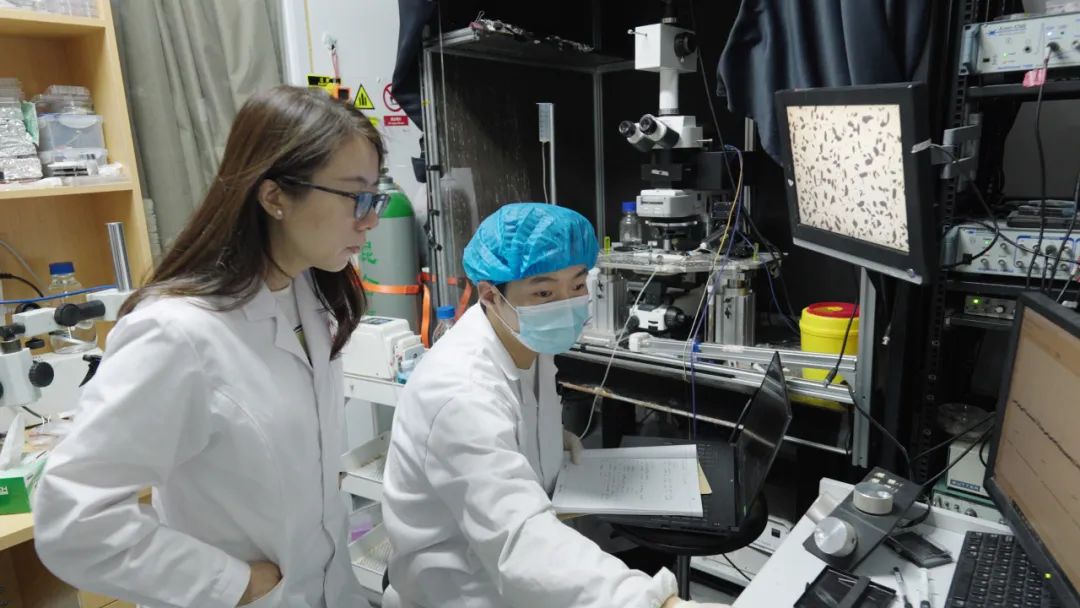 微创植入，重获可见光并拓展红外视觉！复旦医工交叉成果登Science