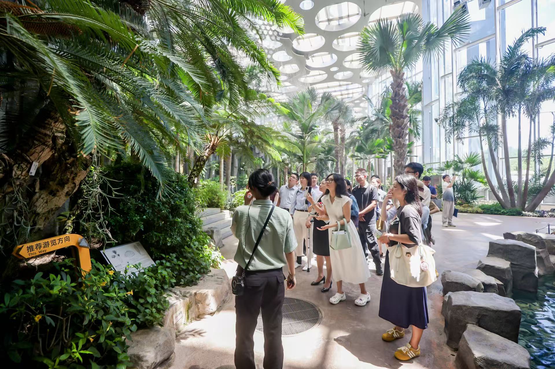 加快绿色技术转化，上海发布42项绿色技术、9项示范工程