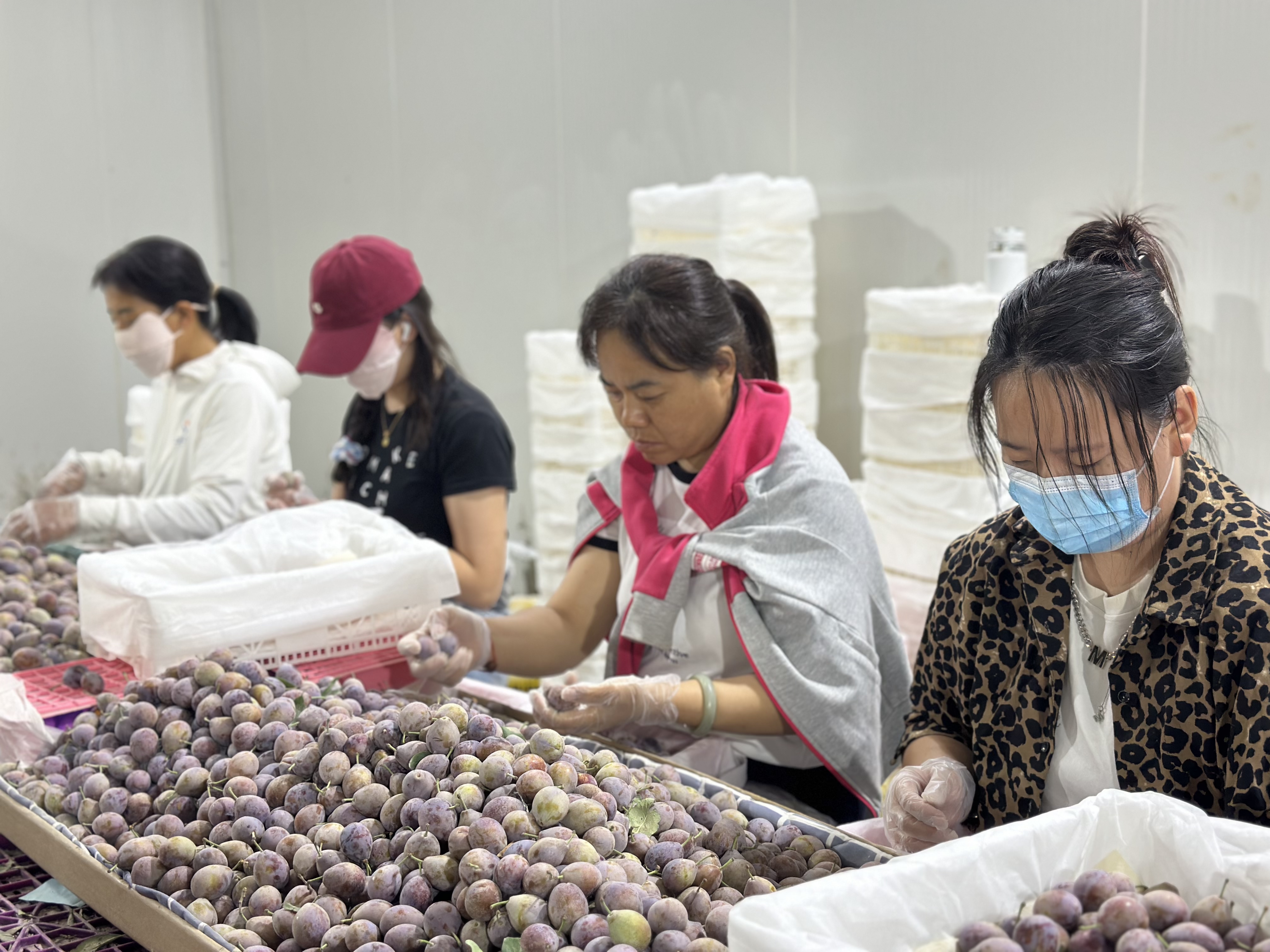 2万月薪吃不起百果园？这些进口高端水果正在被国产平替掉｜商业秘密