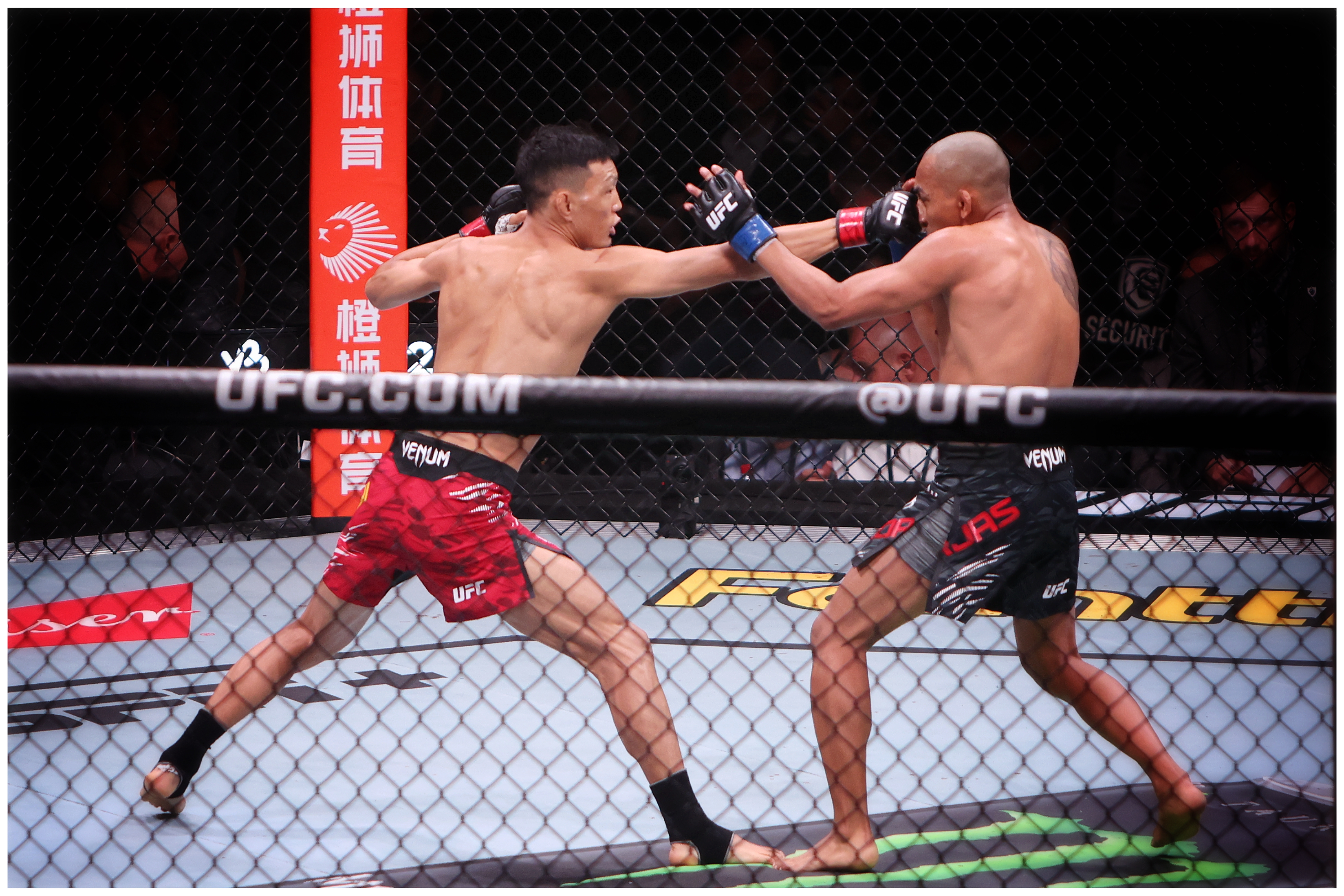 UFC重返上海，一场赛事与一座城的共生密码