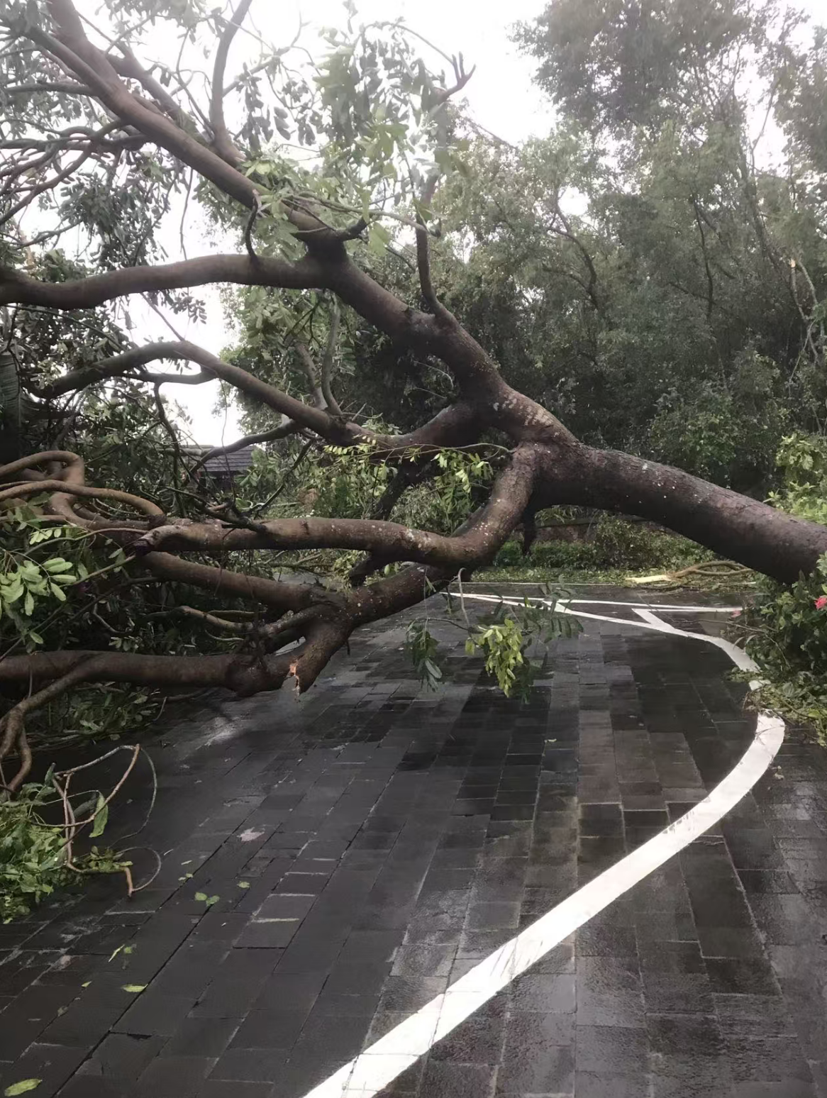 台风袭击海南：整栋楼都在晃动，不少人跑进地下车库