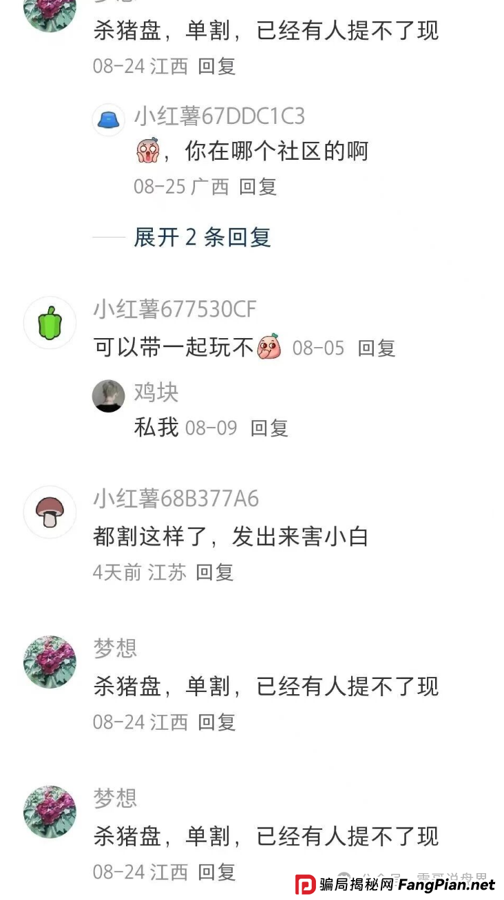 睿盛环球（Golden Link）资金盘骗局被政府通报，单割会员，高度预警