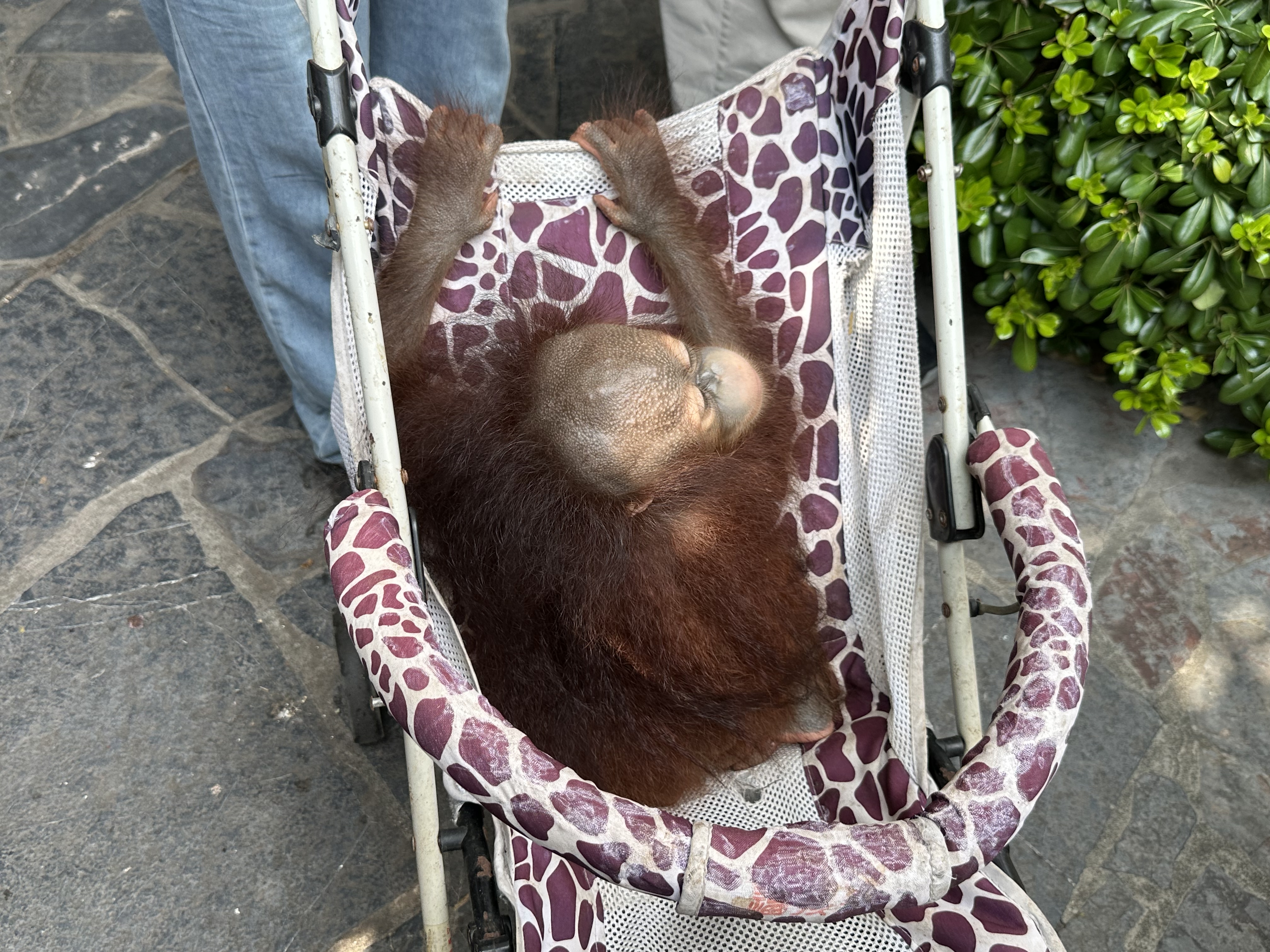 假日经济｜“请3休12”超长假期来临，第一批拼假游客已抵达