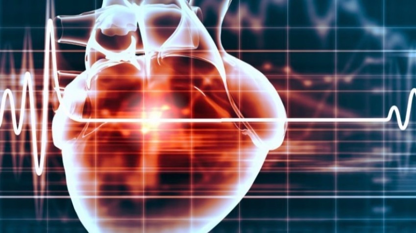 苹果手表已能“读懂”心电图，首次用于识别“隐匿性”心脏病