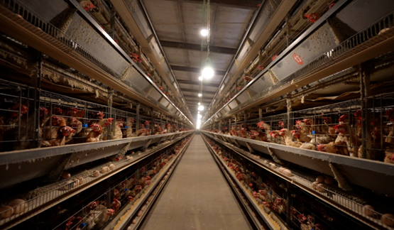 向山而行,群山回响——农业银行定点帮扶纪实 向山而行,群山回响——农业银行定点帮扶纪实