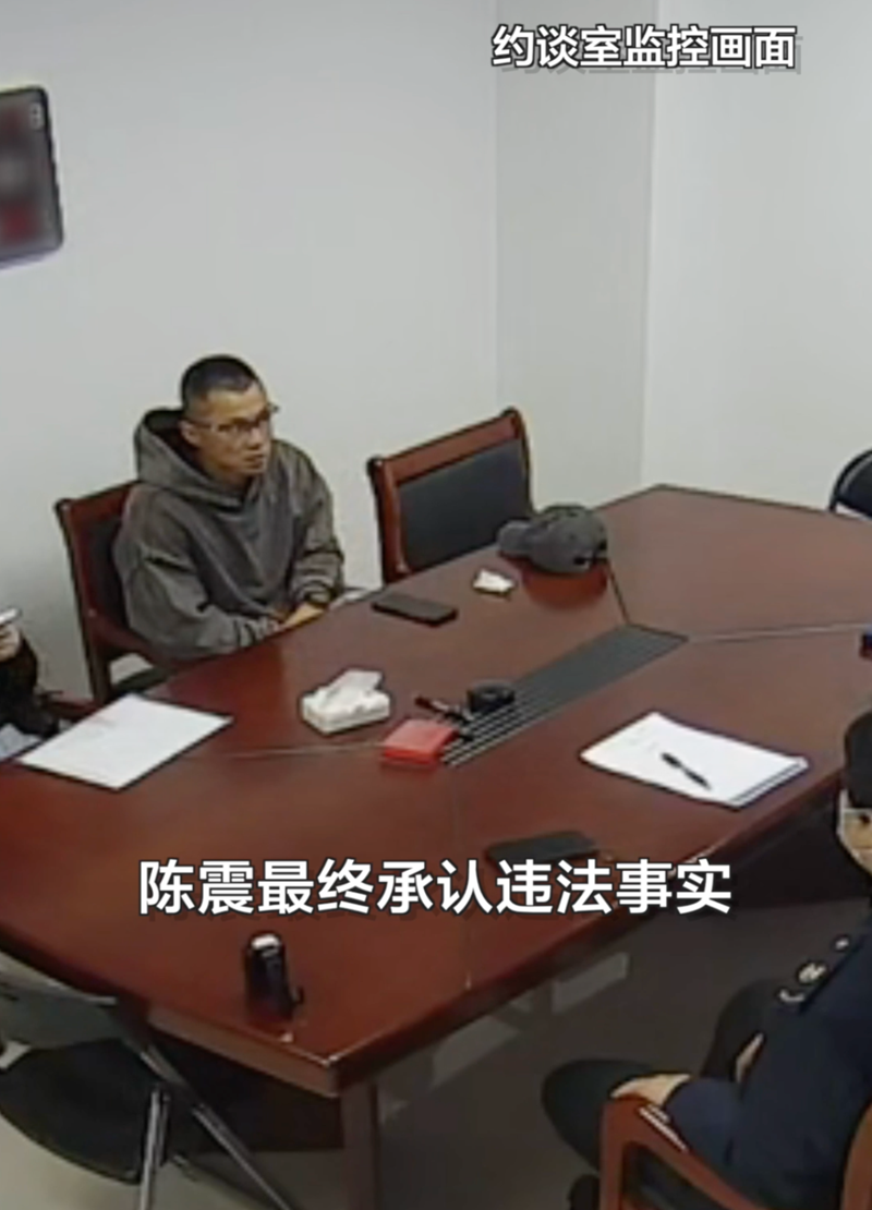 陈震偷税被查，税务部门公布案件细节(2)