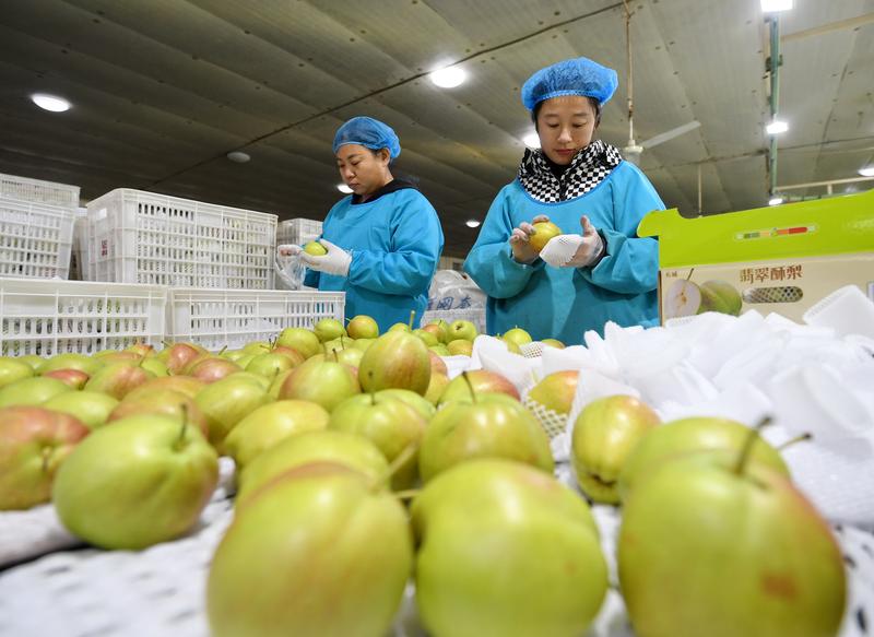 人民币创14个月来新高,出口商“肉痛”一到账就结汇 人民币创14个月来新高,出口商“肉痛”一到账就结汇