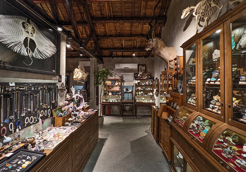 迷恋动植物标本和化石、矿物，他创办了一家自然博物馆