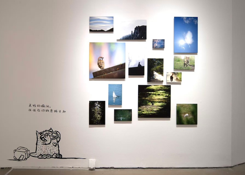 用艺术探寻生命历程,这个展览讲述如何面对人生缺憾 用艺术探寻生命历程,这个展览讲述如何面对人生缺憾