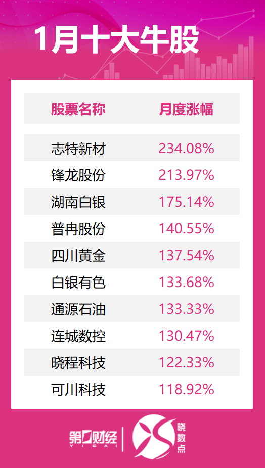 1月十大牛股出炉：志特新材逾234%涨幅问鼎榜首(2)