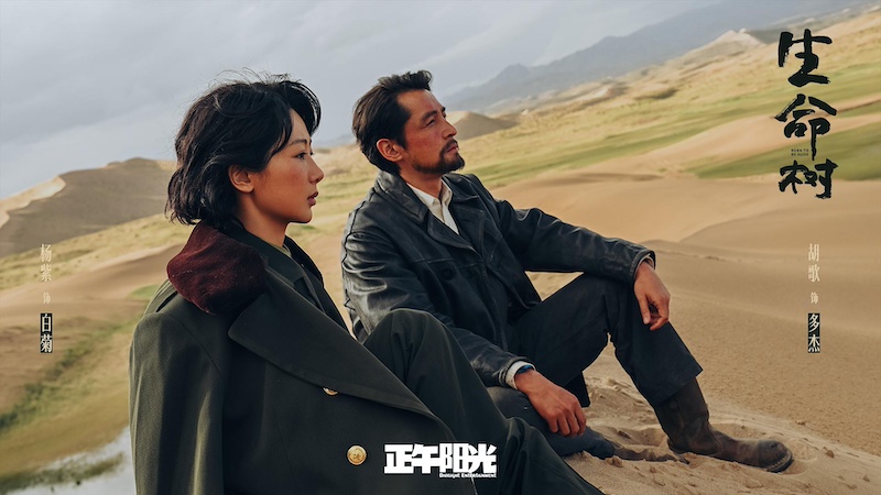 带火春节德令哈文旅,《生命树》讲述高原上的环保故事(2) 带火春节德令哈文旅,《生命树》讲述高原上的环保故事(2)