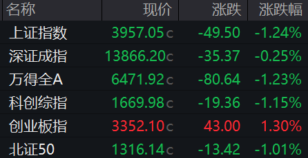 收盘丨沪指跌1.24%失守4000点，创业板指涨逾1%