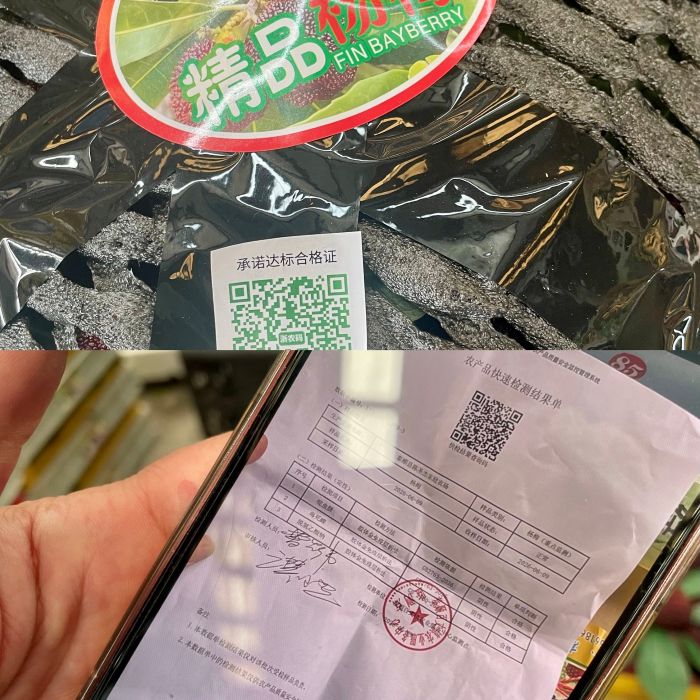 浙江杨梅来了：上市初期价格下跌，“泡药”风波影响仍在(2)