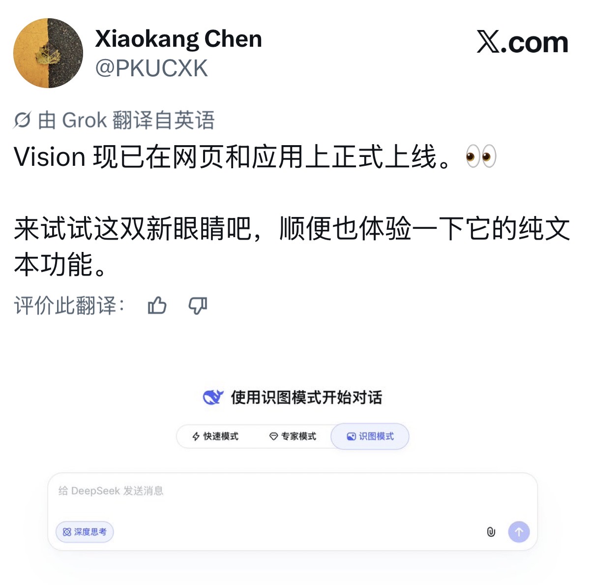 DeepSeek全量上线识图模式?能识别鹅腿阿姨的“绿色鸭腿”(2) DeepSeek全量上线识图模式?能识别鹅腿阿姨的“绿色鸭腿”(2)