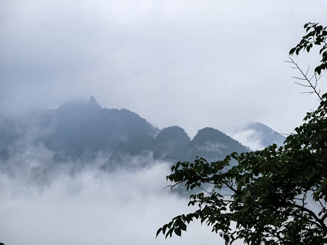 四年暴增60倍，洋“无忌”们为何扎堆武当山(2)