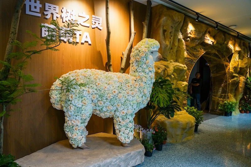 羊驼和卡皮巴拉都来了!上博举办“美洲萌萌TA奇妙夜”(6) 羊驼和卡皮巴拉都来了!上博举办“美洲萌萌TA奇妙夜”(6)