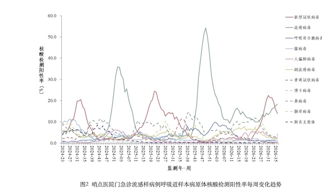 新冠回到低流行水平,但流感病毒却在悄悄反扑(1) 新冠回到低流行水平,但流感病毒却在悄悄反扑(1)