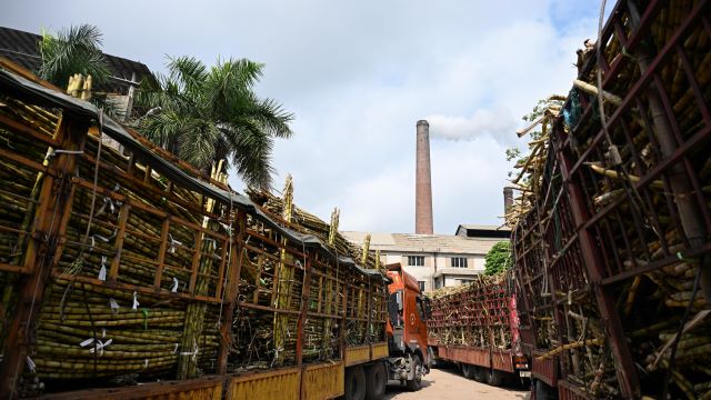 厄尔尼诺冲击下:国际糖价大涨25%,国内白糖会涨价吗?|气候经济(1) 厄尔尼诺冲击下:国际糖价大涨25%,国内白糖会涨价吗?|气候经济(1)