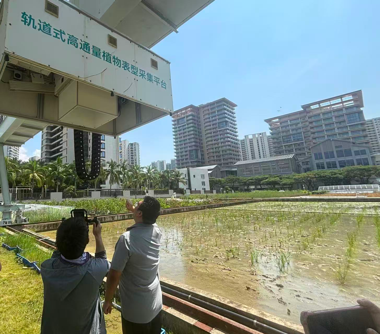 给植物“做体检”：南繁硅谷呈现育种新图景 ｜ 活力中国调研行